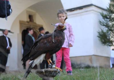 IMG_3750_original