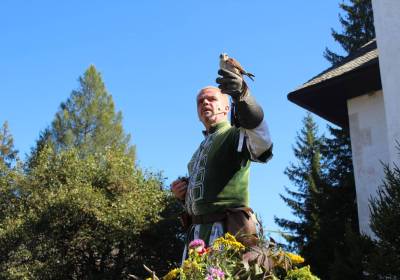 IMG_3754_original