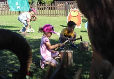 IMG_3929_original