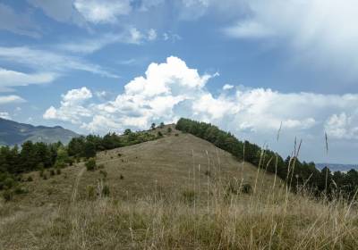 20240901_4800_original_copy_1