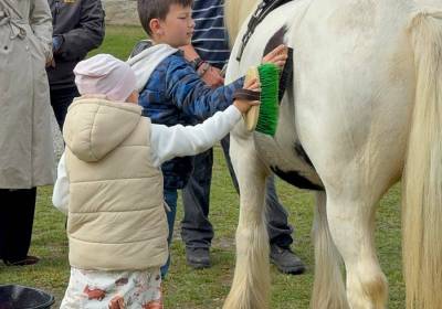IMG-20250928-WA0020_original