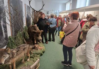 vp-muzeum-prehliadka--004_original
