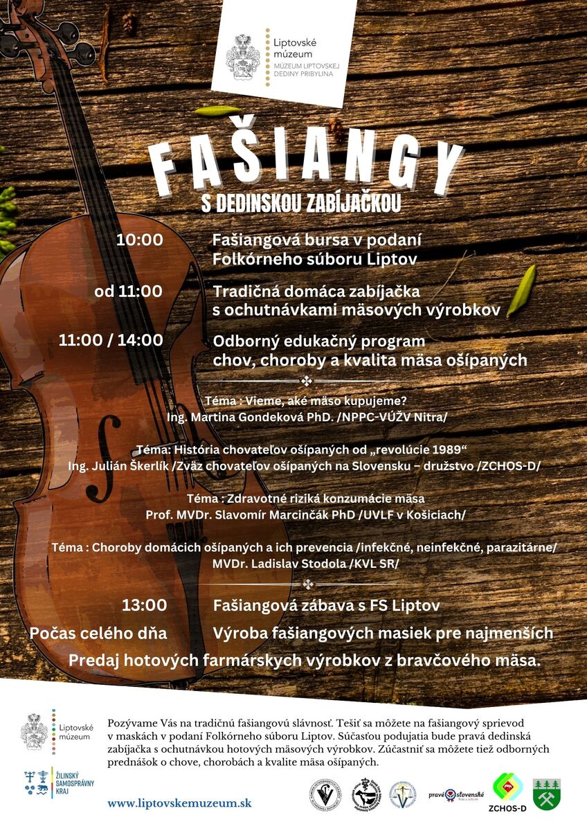 Fasiangy program velky