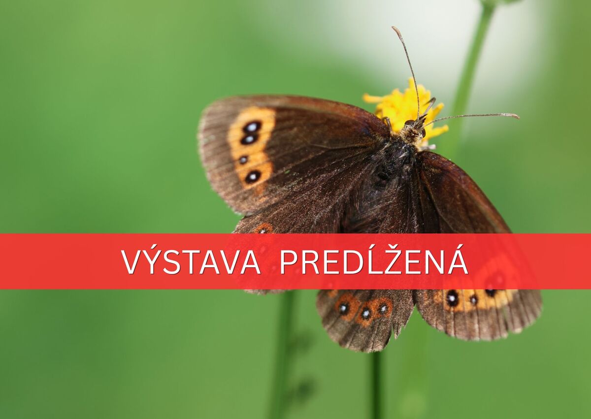 Svet entomologie titulna fotka predlzeniejpg